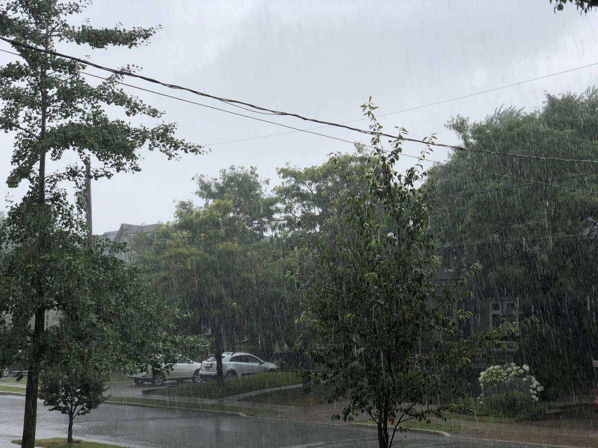 Ryan Leopold tweet media