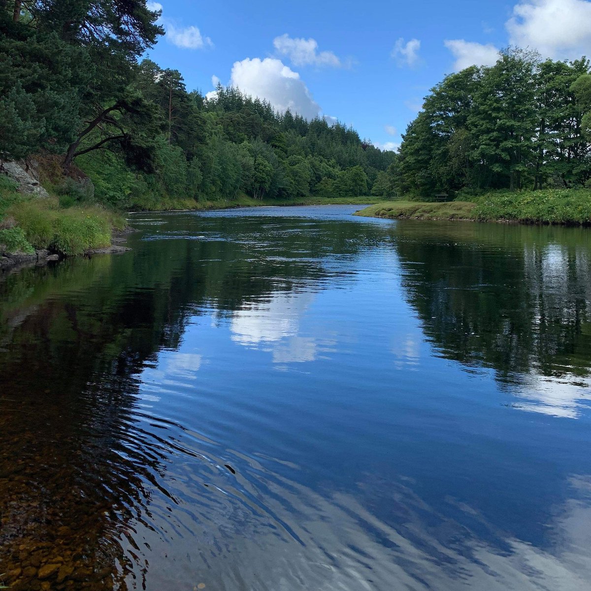 burnroyhouse's tweet photo. Time for #fishing on the Spey #highlands #staycation @Fish_scotland @VisitScotland @mvscotland #holiday @FieldsportsJrnl https://t.co/v8LU6VF0ps