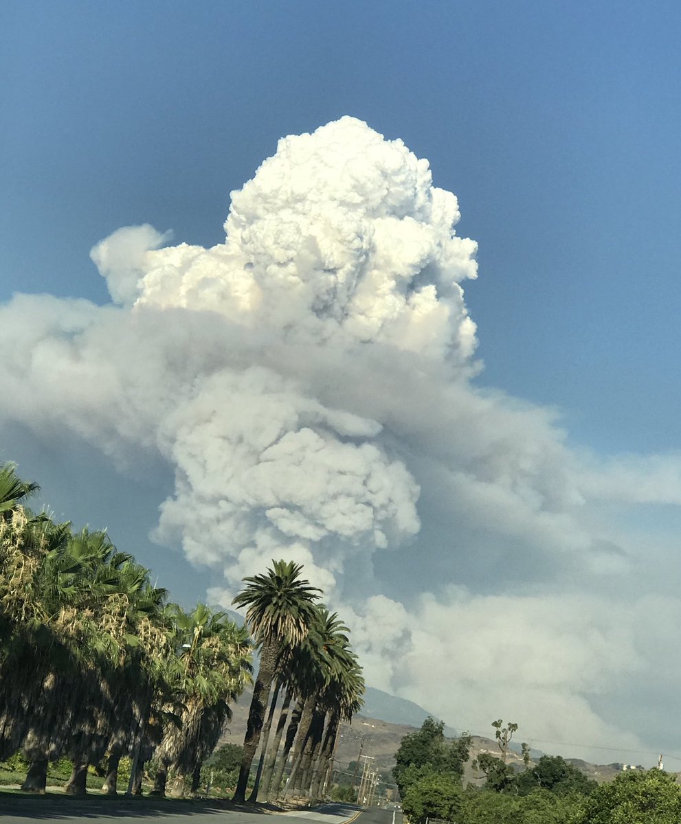 samir Johna tweet media