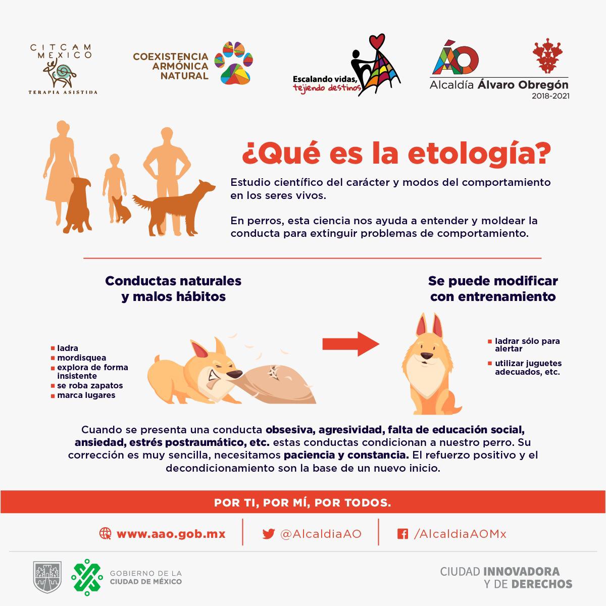 AlcaldiaAO's tweet photo. ¿Sabes qué es la etología? 
Conoce esta importante herramienta para evitar el abandono y el maltrato a tus compañeros de vida.
Vive una #CoexistenciaArmónicaNatural🐾
Puedes descargar un cuadernillo aquí: https://t.co/uIAiLZvWac https://t.co/eH6Z1duJj8