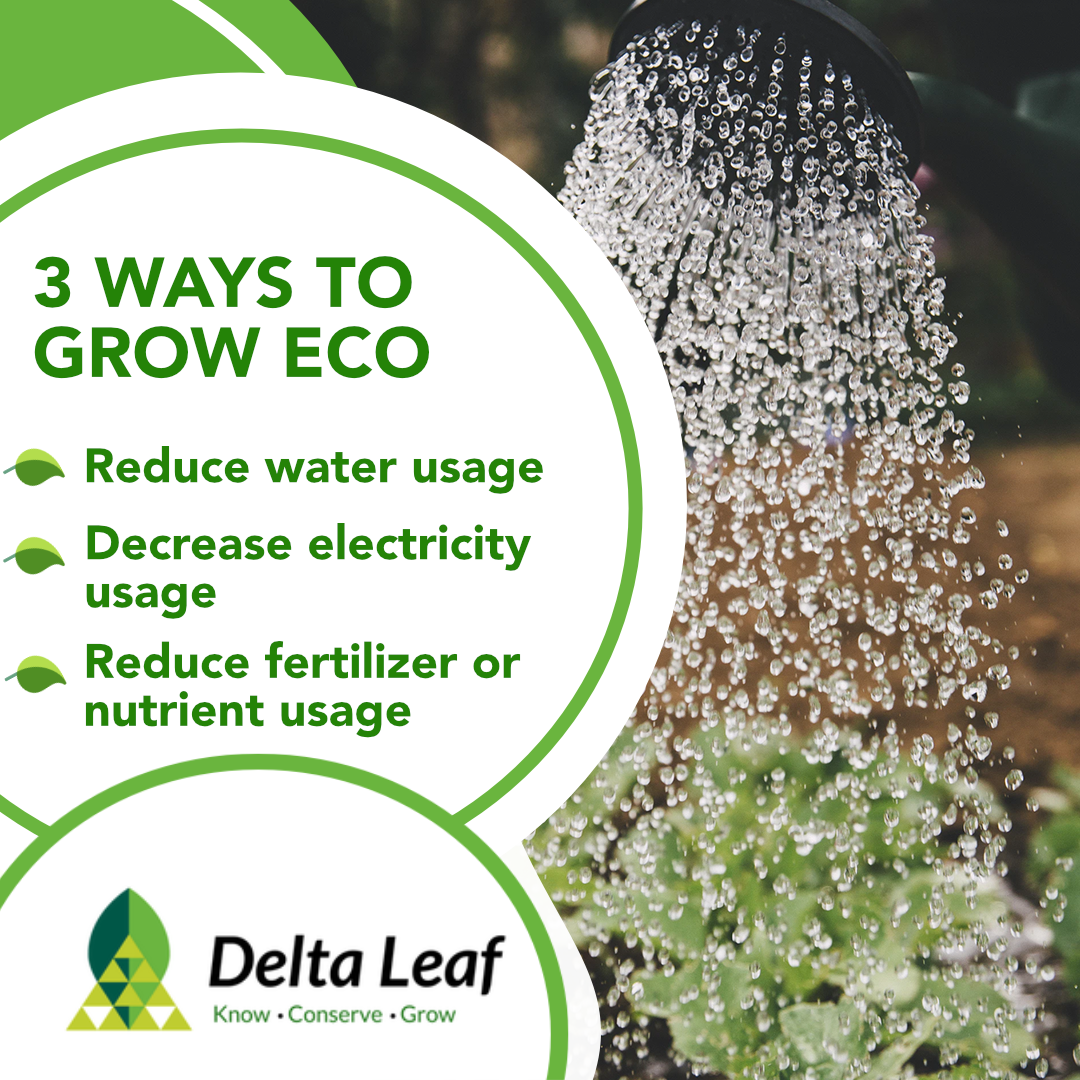 DeltaLeafLabs's tweet photo. Here's some #helpfultips on how to be a more eco-friendly grower! We hope you're having a lovely Sunday. ☀️🌍
#environmental #deltaleaf #knowconservegrow #modernfarming #ecofriendly https://t.co/9QdpS8kWde