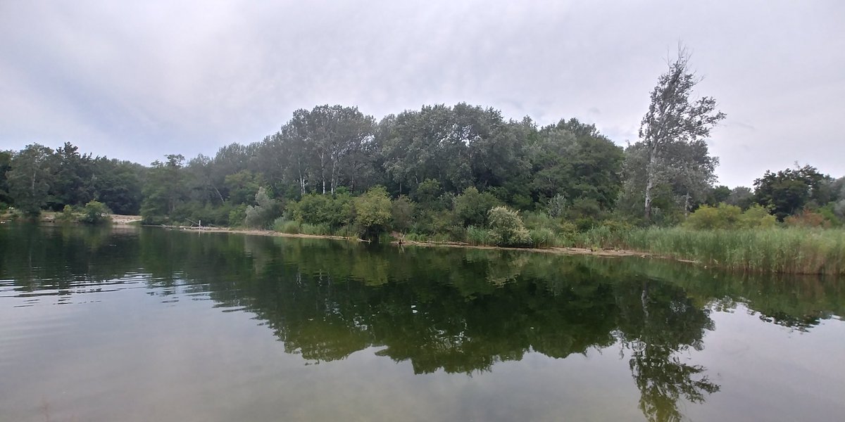 BrigitteKrautg2's tweet photo. #wienliebe #badeplatz #nature #lobau https://t.co/MHgEa5aqqf