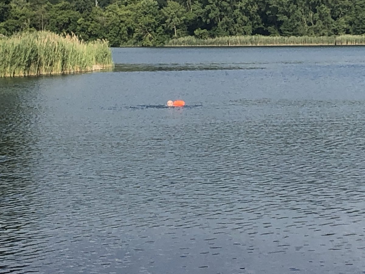 JKriesberg's tweet photo. Arrived in Syracuse on Friday evening with my brother to celebrate our father’s 94th birthday. Our first activity? To the lake for a 30 minute swim. Here he is with new swim buoy. #livetoswim #swimtolive #blessings (yes I swam too!) https://t.co/S2ZSVtQAKk