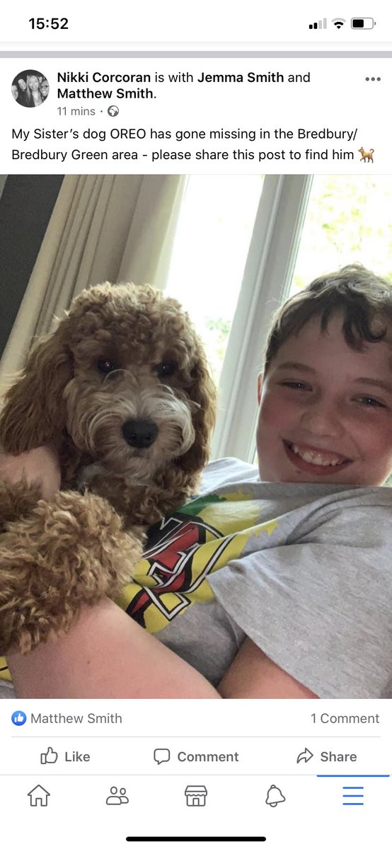 NikkiCorcoran's tweet photo. #PleaseHelp my sister’s #cockapoo OREO has gone missing in the #Bredbury / #BredburyGreen area #Manchester please #share this list to get him home https://t.co/2KI3vhvohY