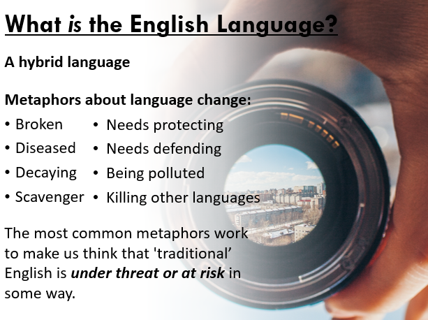 Millie F tweet media