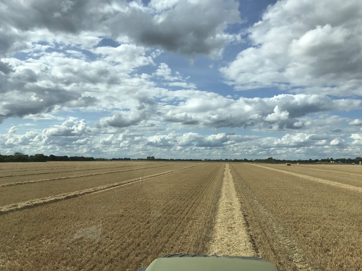 It’s a big sky Sunday.... #harvest2020 #strawforpigs