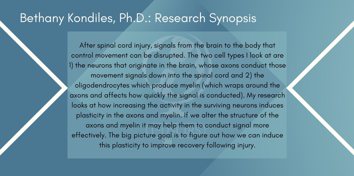 IOSCIRS's tweet photo. Two days and counting till #TraineeFirstTuesday! Check out Dr. Kondiles' (@beearekay) research synopsis &amp; check back later for some more deets on our trainee speakers!
Talks will go live in our YouTube channel (link in bio) at 11amPT/2pmET on Tuesday Aug. 4. Don't miss it! https://t.co/Mjf8aBYqhH