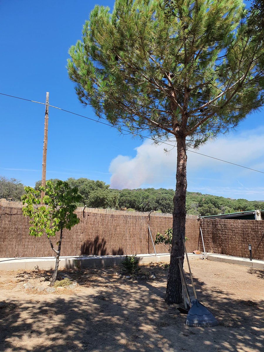 NAragoneses's tweet photo. @112cmadrid @ComunidadMadrid Desde Colmenar del Arroyo #IFRobledodechavela https://t.co/waoNGc8DQX