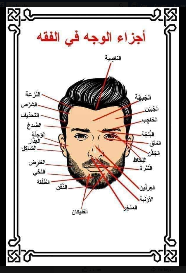 THREAD: Arabic legal terms for the human face. E.g. the tip or apex of the nose is known in Arabic as arnabah, "doe rabbit." This term is attested in a prophetic hadith ... 1/3