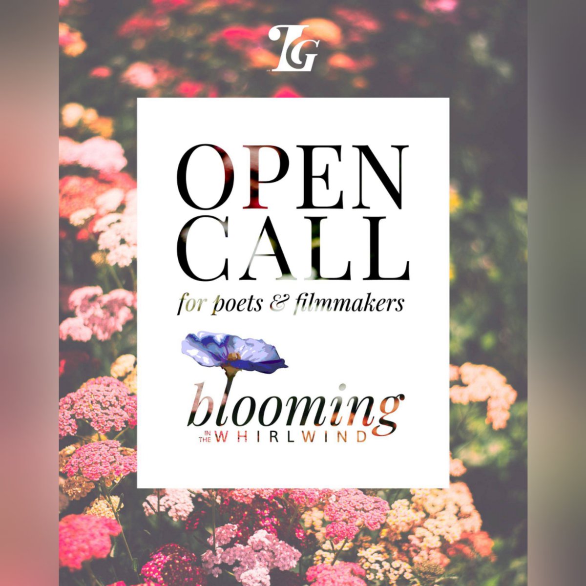 InStudioHCLA's tweet image. FILM STUDENTS: #LevelGround is seeking filmmaker and poetry submissions!  levelground.co/news/blooming-… 

#InStudioHCLA #HCLA #FilmCollege #Film  #opencall #losangelesartists #poetryfilm  #callingallartists #seekingartists #supportlocalartists #artistcollective #independentfilmmaker