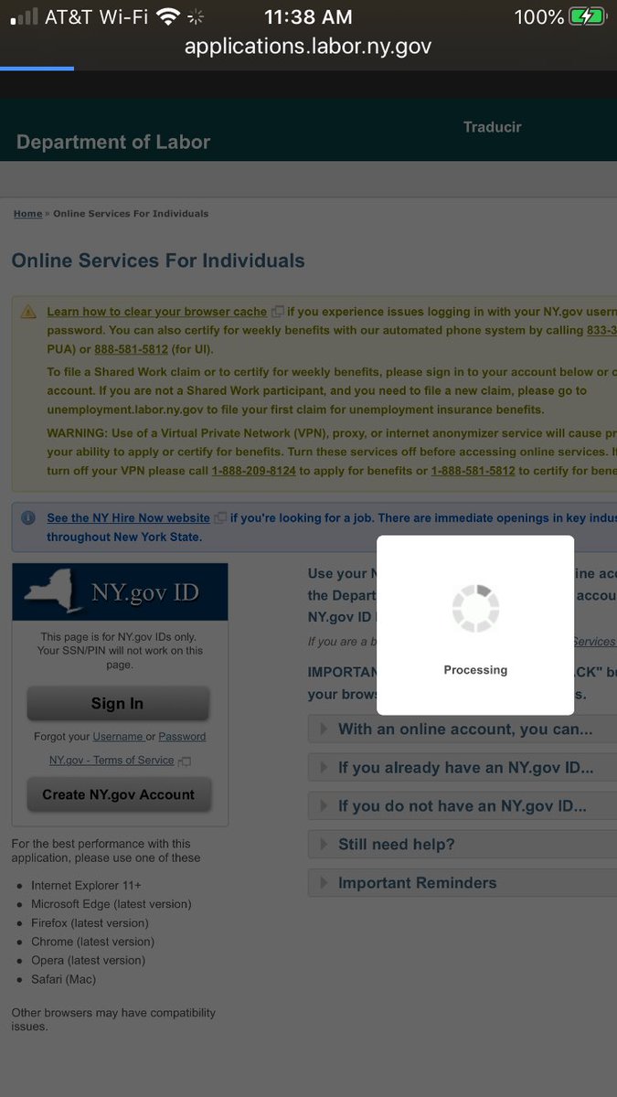 SassyStylinGal's tweet image. @NYSLabor #notloading #websitedown help