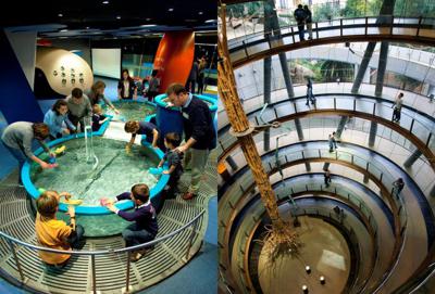 hi_octa's tweet photo. CosmoCaixa science museum is said to be the largest in Europe! So there’s obviously a LOT to explore.😃 Some of the best exhibits are the science games and the Flooded Forest, a reproduction of life on the Amazon.
#visitspain #spain #barcelona #visitbarcelona #travel #cosmocaixa https://t.co/IJ9wm3UI99