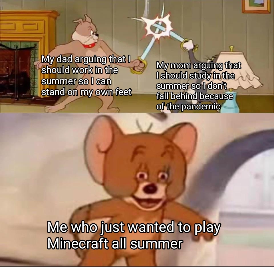 you play minecraft meme