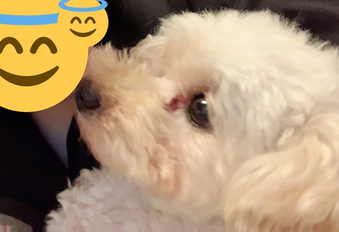 黒崎 零羅さん の最近のツイート 7 Whotwi グラフィカルtwitter分析 黒崎 零羅さん の最近のツイート 7 Whotwi グラフィカルtwitter分析
