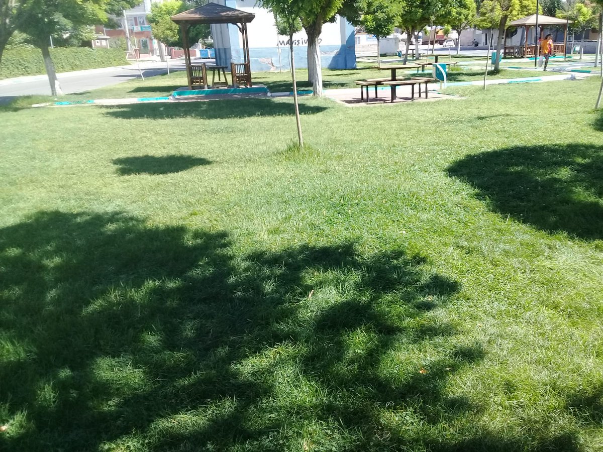 FidanogluFaruk's tweet photo. Haliliye belediyesi çevre koruma müdürlüğüne olarak siz değerli halkımız için parklarımizi bayramda daha hijyenik bir ortama daha güzel vakit geçirmeni sağlamak için çalışmaya aralıksız devam ediyoruz.@eminaslan1980 @MehmetDolap_md @FatihKarakecili @SalihYl63888200 @MangalSerdar https://t.co/WbNbKyqm6S