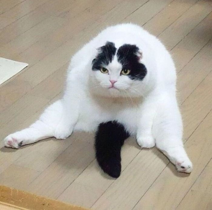 ben: neden sırtım sürekli agrıyor ya

yine bne: