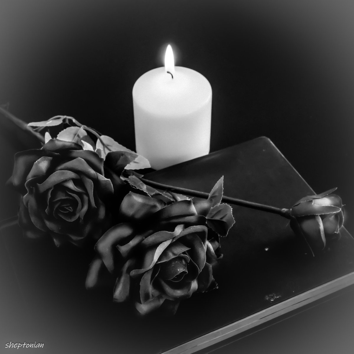 martynfreestone's tweet image. Black rose 
@LensAreLive #rose #Candle #books #reading #blackandwhitephotography #bnw #photography