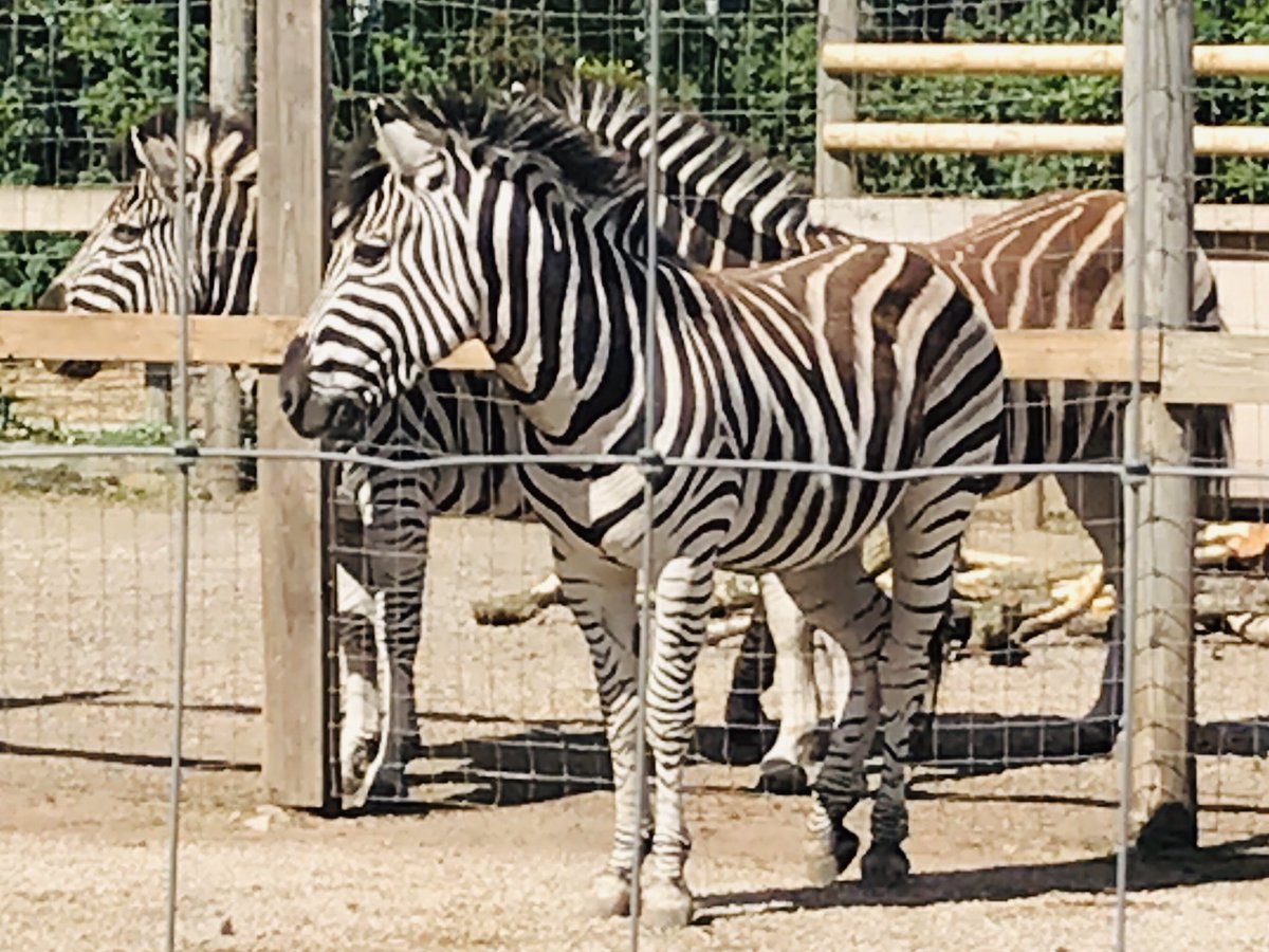 Clare Hazeldine tweet media