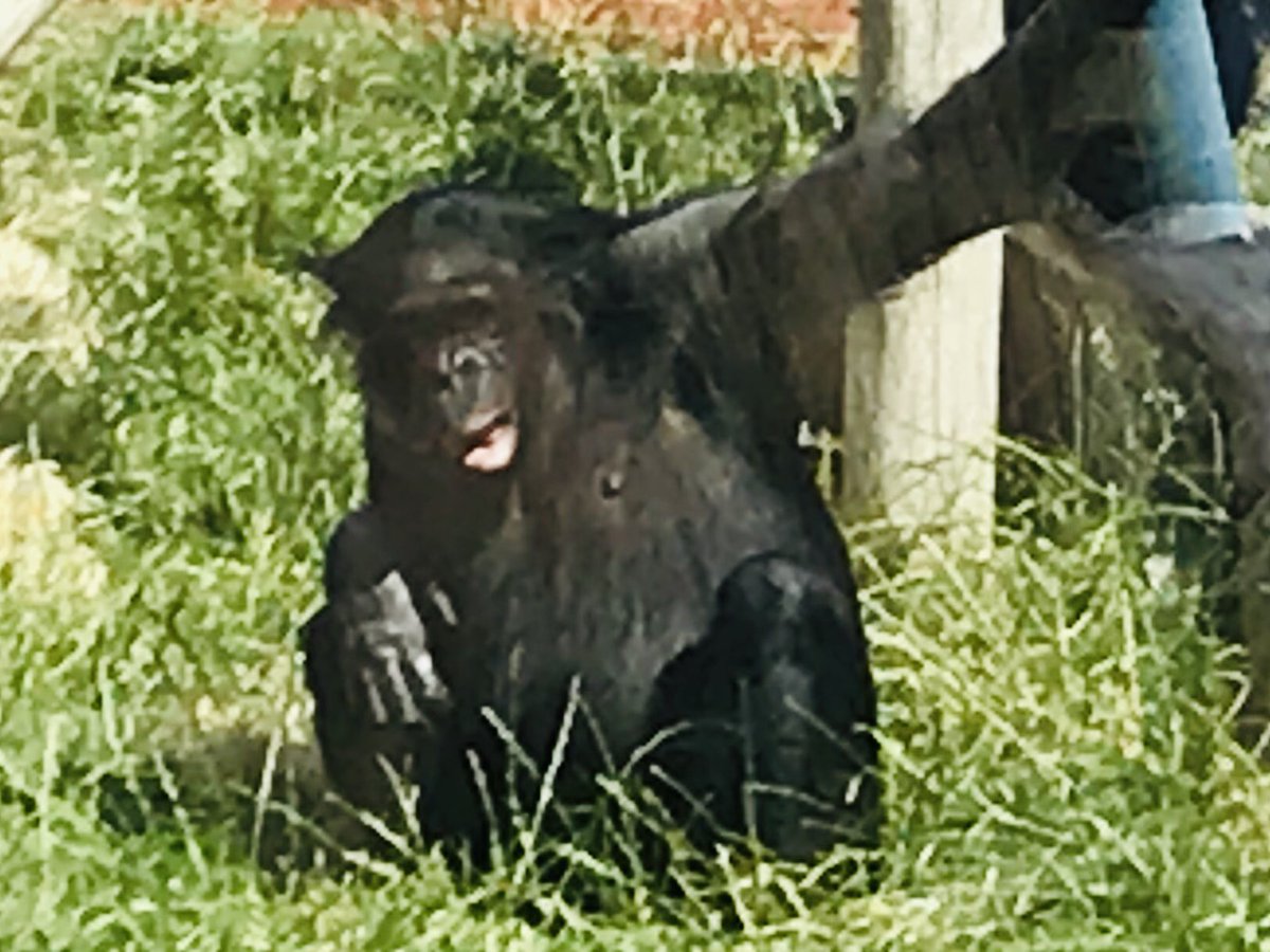 Clare Hazeldine tweet media