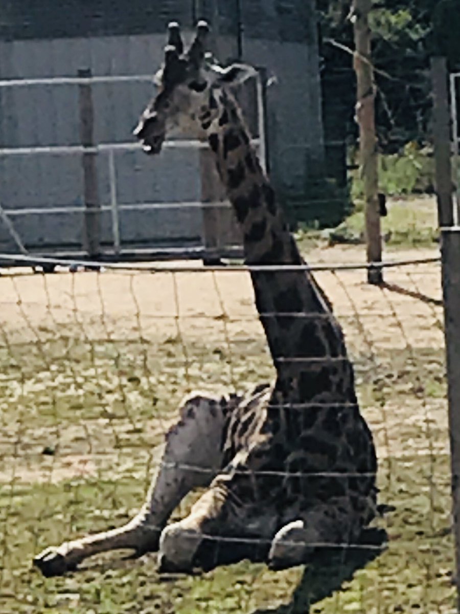 Clare Hazeldine tweet media