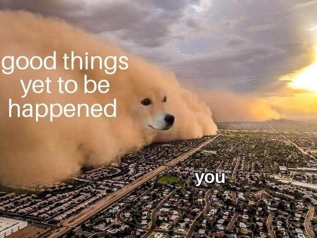 WholesomeMeme's tweet photo. https://t.co/rmqgWkJsH0