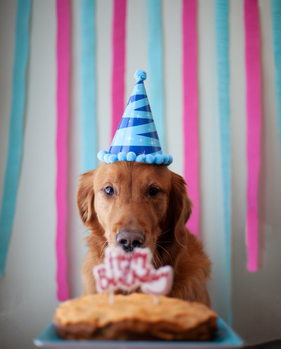 Fizzionclean's tweet photo. Who else had a quarantine birthday? 🙋‍♂️ https://t.co/ajaiky0IUl