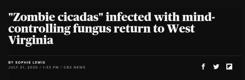 turbojedi's tweet image. Хорошо что с планом на август тоже разобрались.