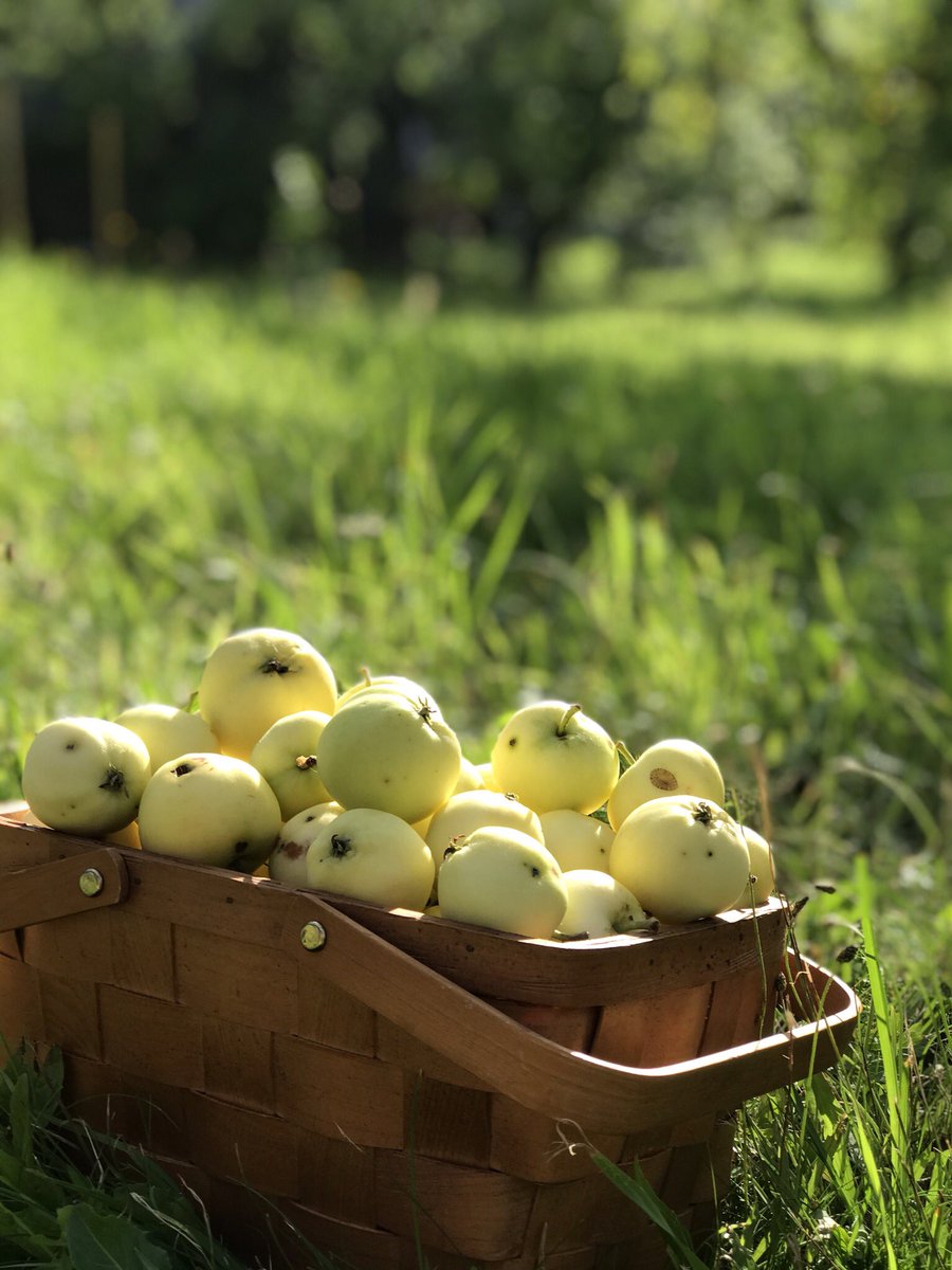 CafePIECI's tweet photo. Sveicināti! Vēl nedaudz pacietības! Drīz tiksimies!🌞 https://t.co/3A7dQAtvvT