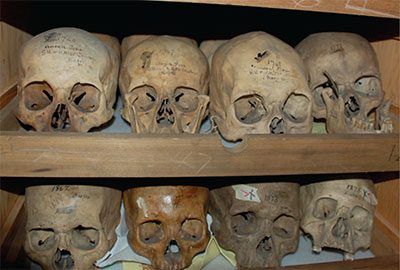 artnet's tweet photo. The Penn Museum is working to repatriate 55 skulls belonging to enslaved individuals that were collected by a white supremacist scientist: https://t.co/Zr8nQfneQm https://t.co/qz4gIq5yCp