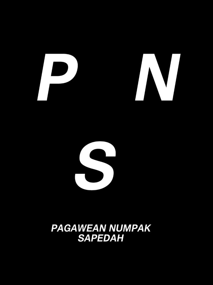 P N S
