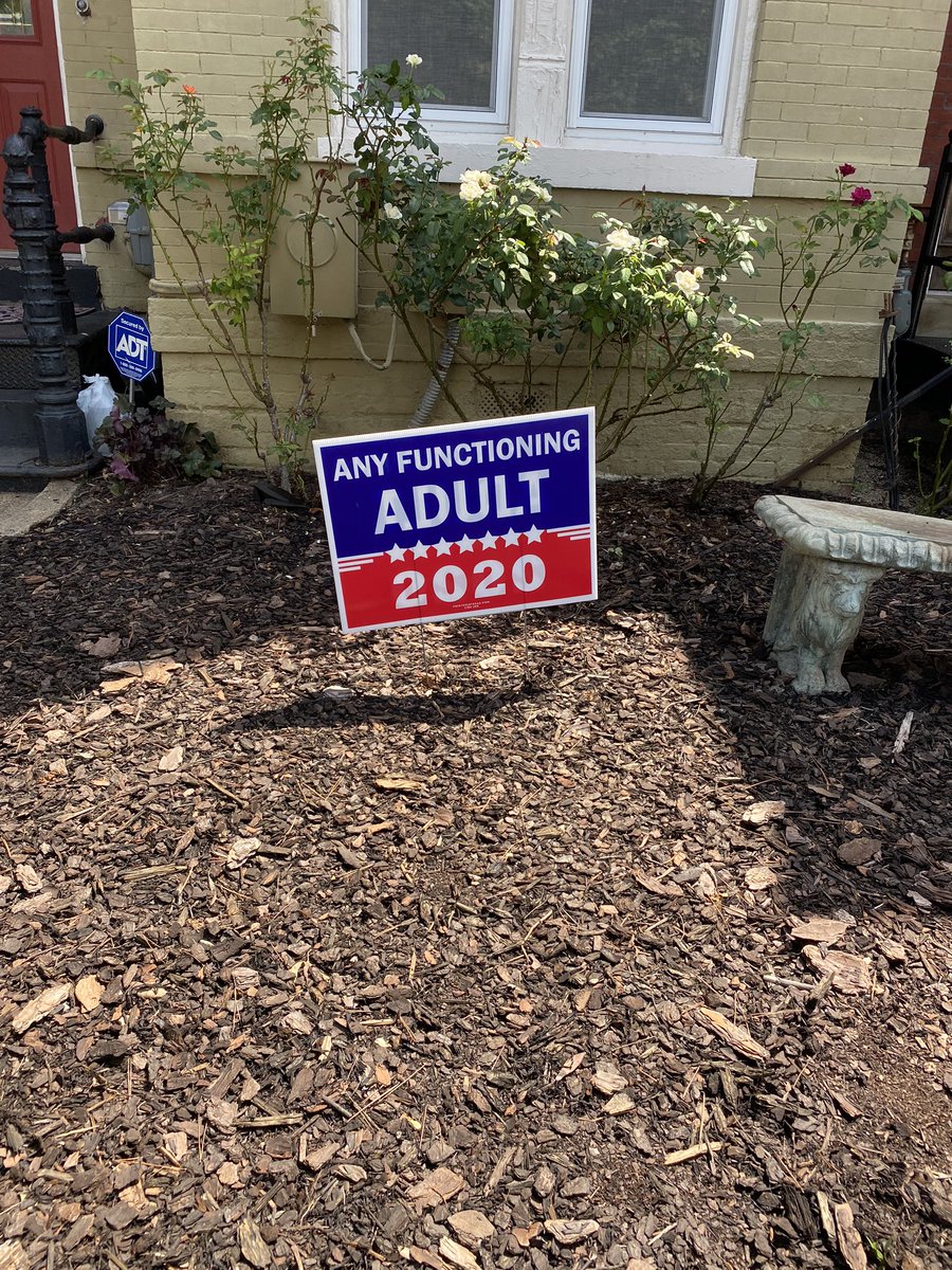 Matthew Knott tweet media