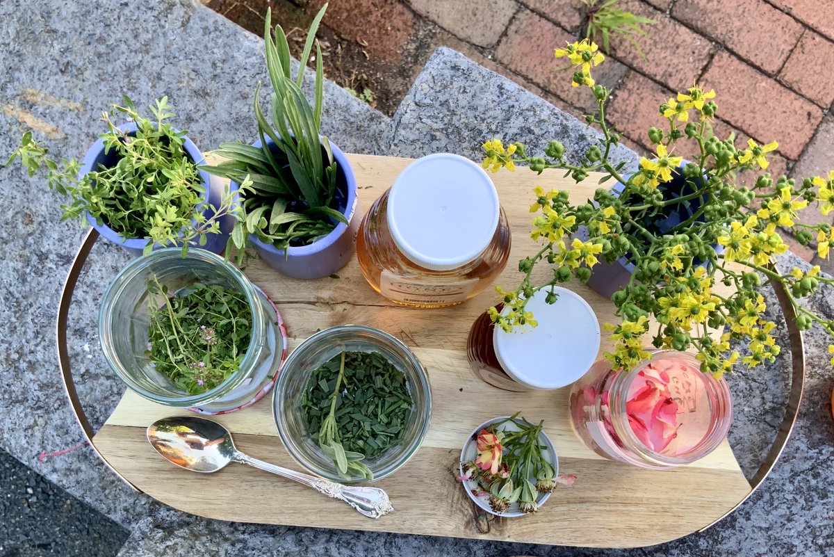 MassRenaissance's tweet photo. Thank you to @hayliebswenson, Jade Alicandro Mace, and all of our participants for a great conversation about bees, hives, and honey yesterday at the inaugural Grounded Knowledge Workshop! #massrenaissance #groundedknowledge https://t.co/Pewk4VKAi2