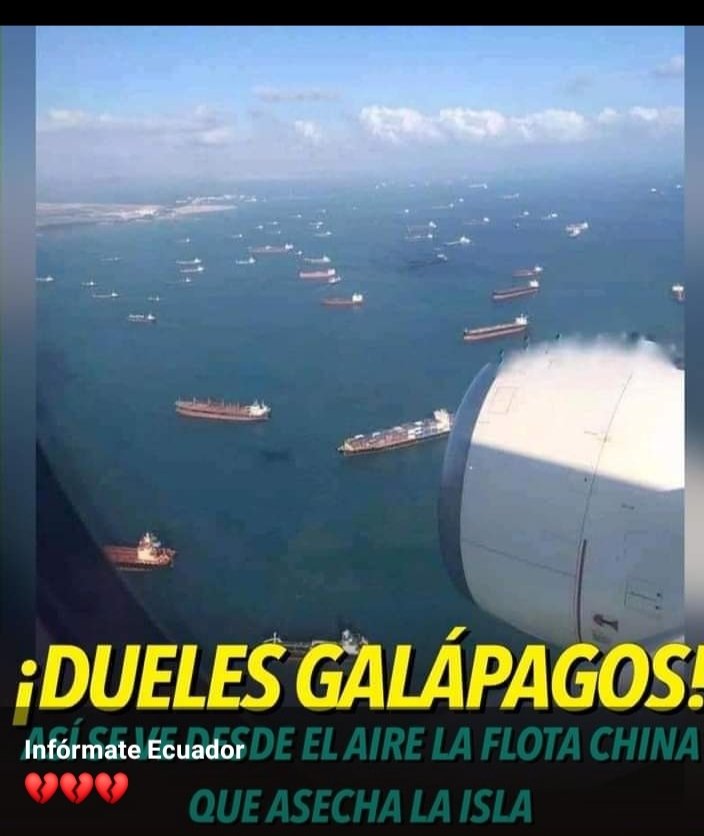 JulietaSagnay's tweet photo. Un usuario capta desde la ventanilla de un avión el momento exacto donde se observa un número infinito de embarcaciones chinas ubicadas exactamente en el límite de la zona exclusiva ecuatoriana y @Lenin
No hace nada ? Quien conoce Galápagos sabe que es nuestro mayor  tesoro https://t.co/9dccXBGo4u