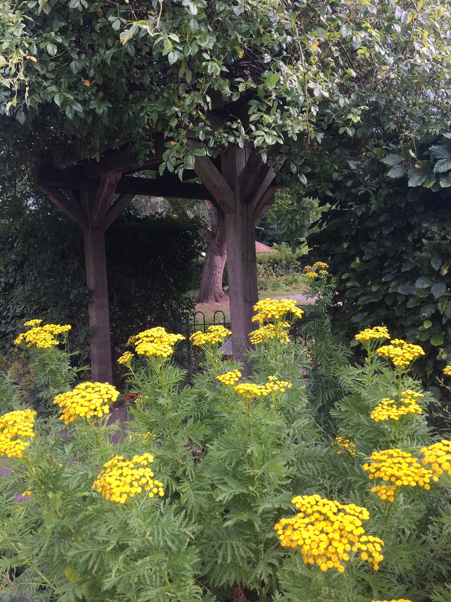 deliciousyork's tweet photo. What a delight Rowntree Park is all year round #onlyinyork #visityork #parksandgardens #rowntreepark #visityorkshire https://t.co/8CZlr8Q5Yg