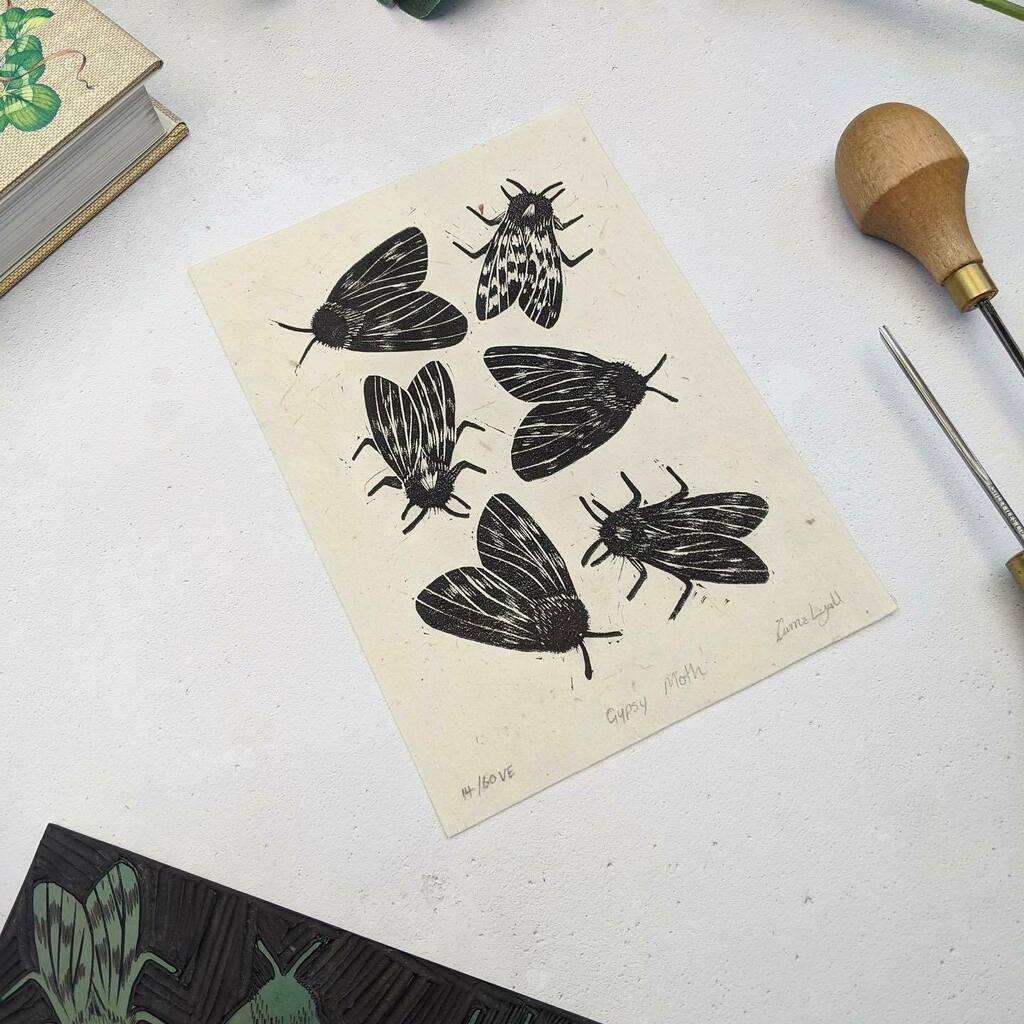 RoseandHen's tweet photo. Love a good insect print just now. Did you know you can get 15% off this very print with code SHOPLOCAL in my Folksy? Last chance to do so today! Link in my bio 👆👆
#shopmyfolksy #newonfolksy #folksyprintshop #linocut #mothprint #insectprints #nightpo… https://t.co/4heflmFteJ https://t.co/iYomfDwZx4