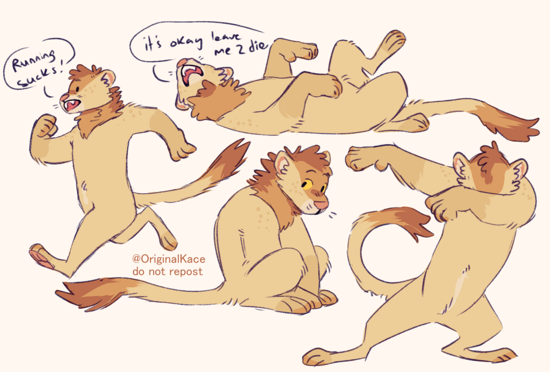 more shenanigans, catnanigans 🦁