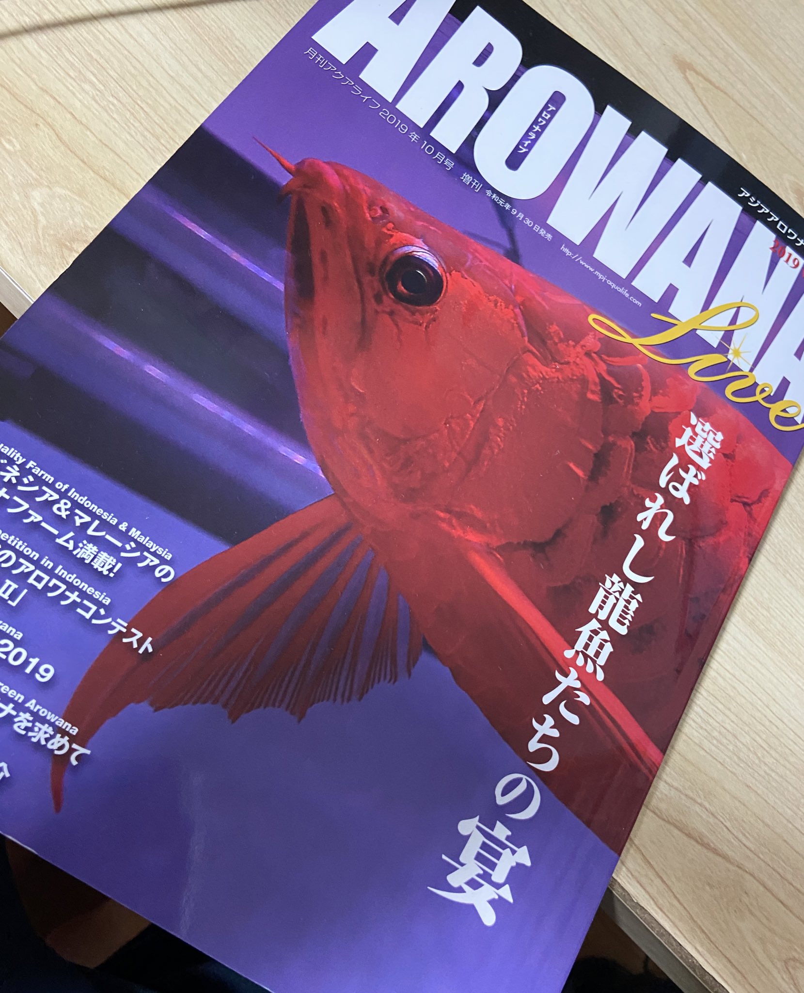 アロワナ雑誌 アロワナ Miki Rs