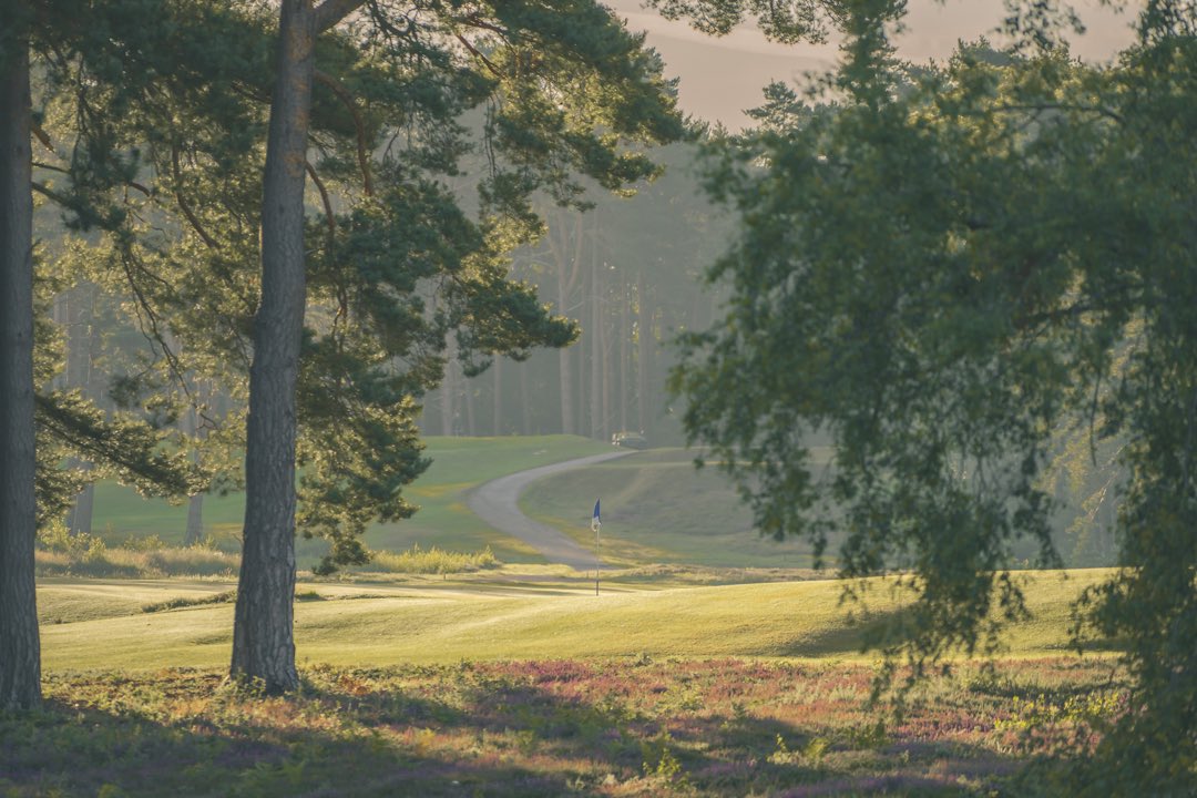 🏆August Competition Time!🏆

Retweet and follow <a href="/TheBerkshireGC/">The Berkshire</a> to follow  in the footsteps of the <a href="/RoseLadiesGolf/">Rose Ladies Golf</a> and win a FREE 2 ball around the blue course. 🔵⛳️

Entries close on Monday 31st August, good luck! 🏌️🏌️‍♀️
