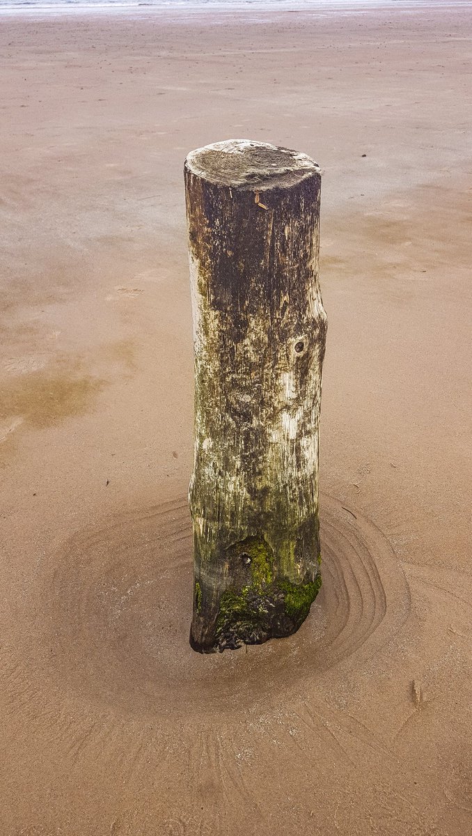 At some point after the war these anti-glider posts were cut flush with the beach. Later modifciation work to the nearby harbour has led to beach erosion which exposes the posts at low tide.