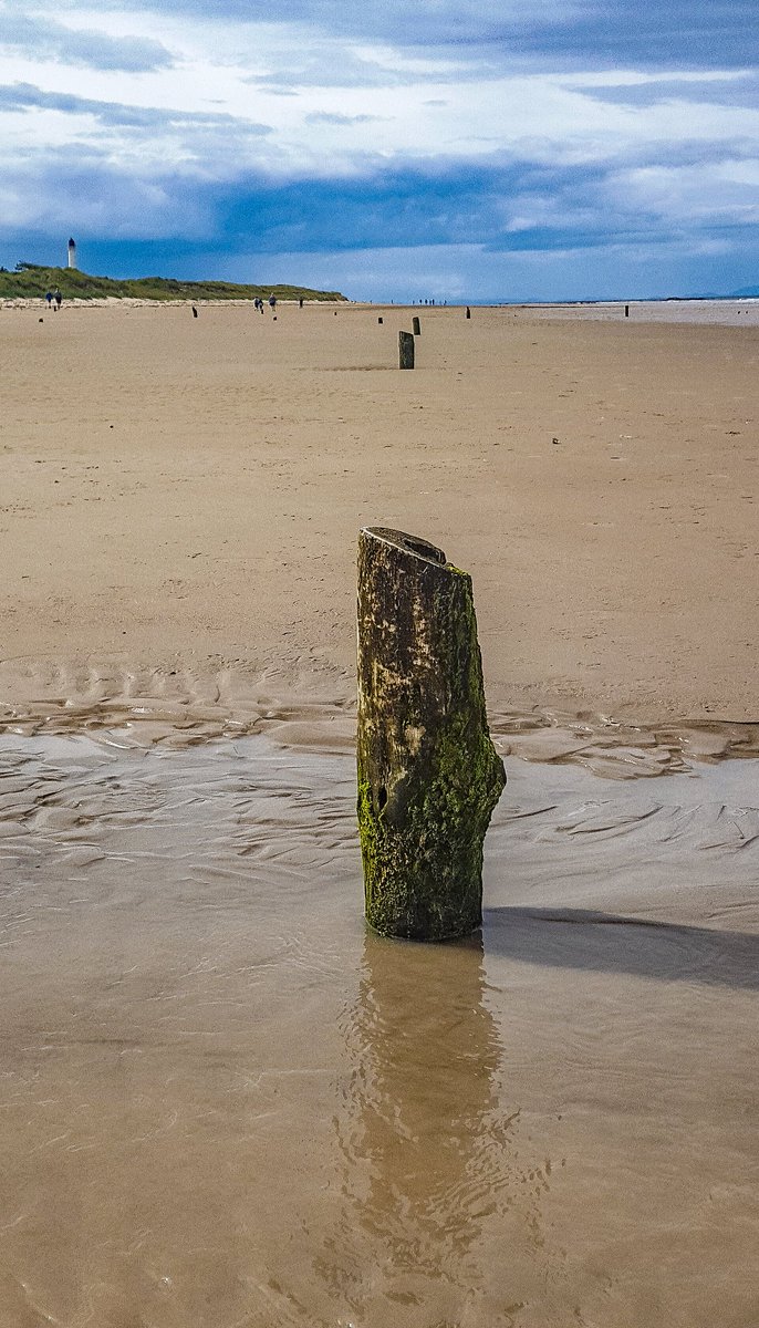 At some point after the war these anti-glider posts were cut flush with the beach. Later modifciation work to the nearby harbour has led to beach erosion which exposes the posts at low tide.