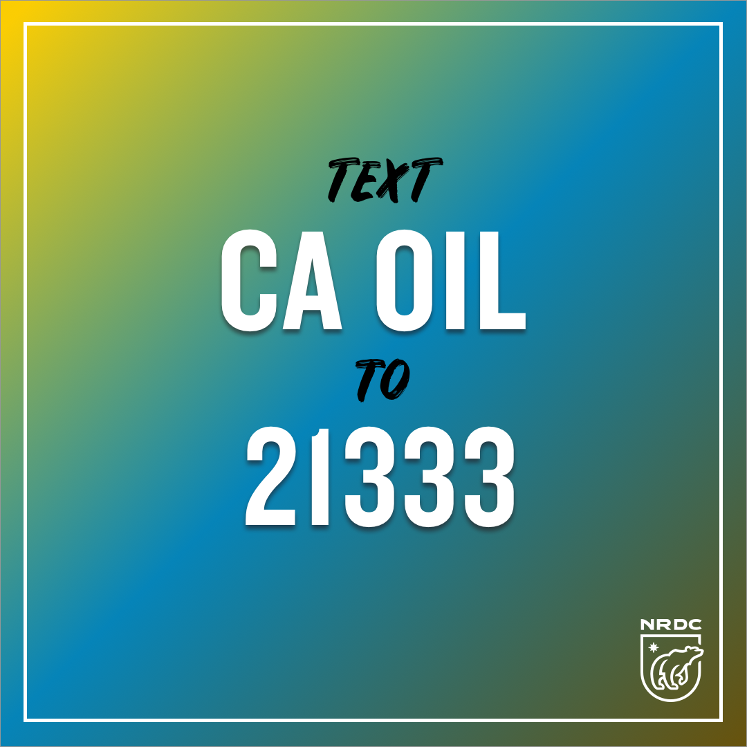 NRDC's tweet photo. For far too long, oil & gas corporations have had permission to pollute our communities and our planet. It's time to end the cycle of environmental racism.
๐ข Join us in standing with @VoicesCA to #SupportAB345! https://t.co/8jBuZlXzZ2