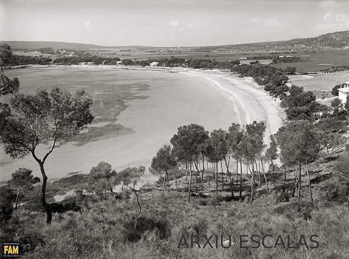 Terraferida tweet picture