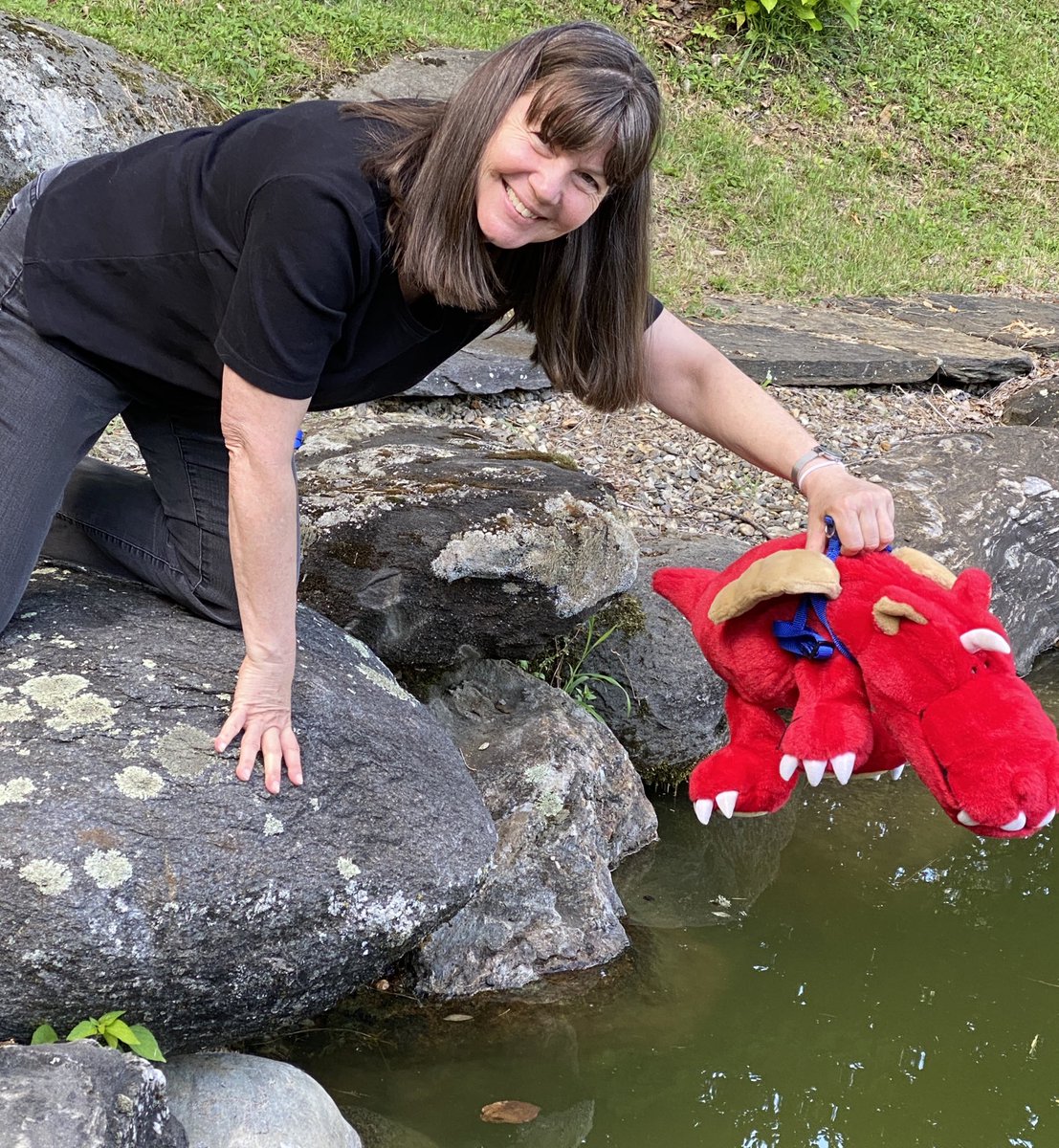 Astro_Cady's tweet photo. How do you know if you are ready for #DragonSplashDown? Practice makes perfect! A fellow dragon practices #SplashDown for the big day! #CrewDragon @SpaceX @NASA https://t.co/vQxbguxGGE https://t.co/QCu7RImhGL