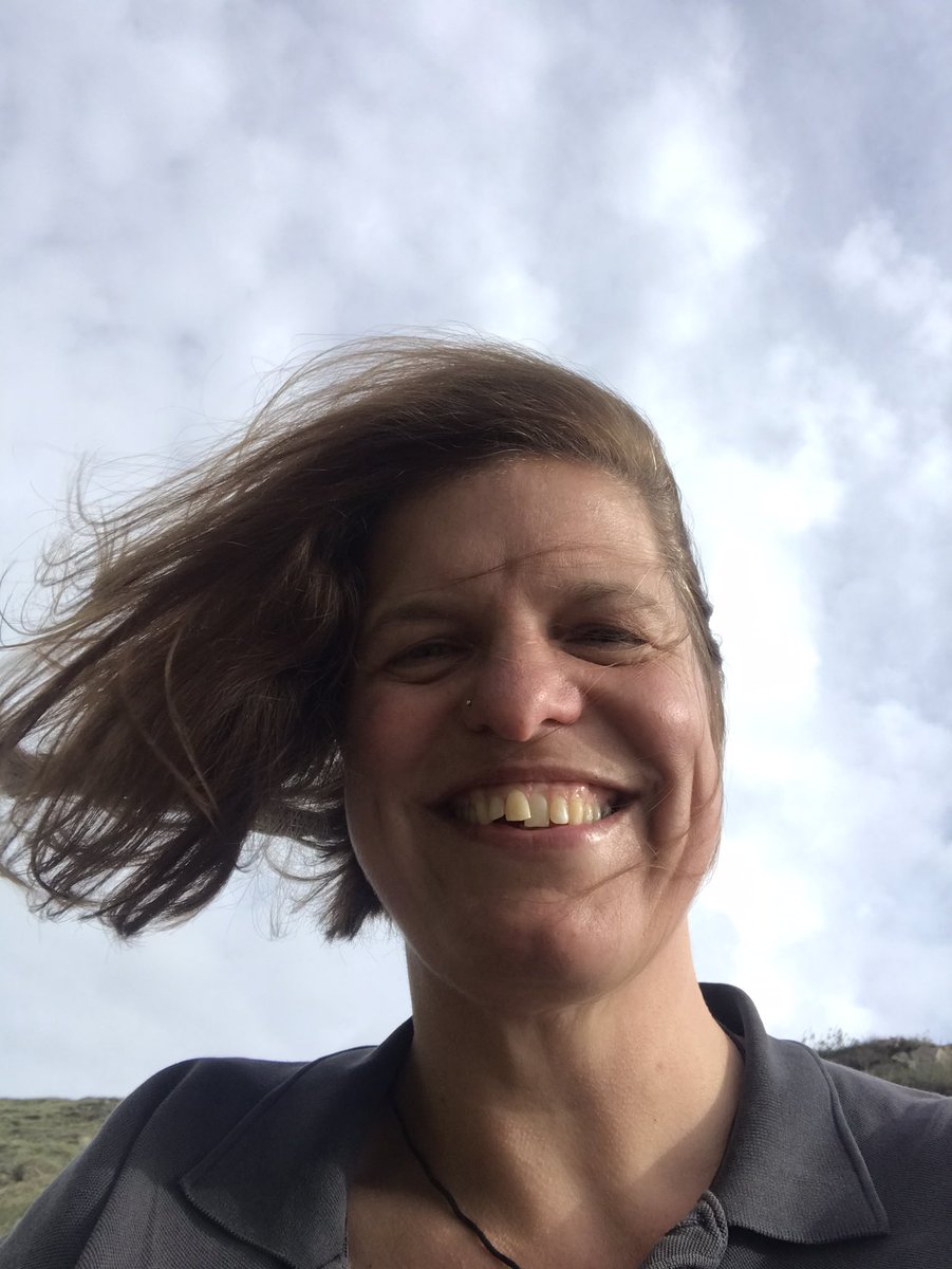 eco_eto's tweet photo. The MoJo and I had a little adventure, following a new trail. Hyfryd. Tho, a bit windy 😂 #exploring #smallwins #beachHunters https://t.co/iXQ1p9BjLL