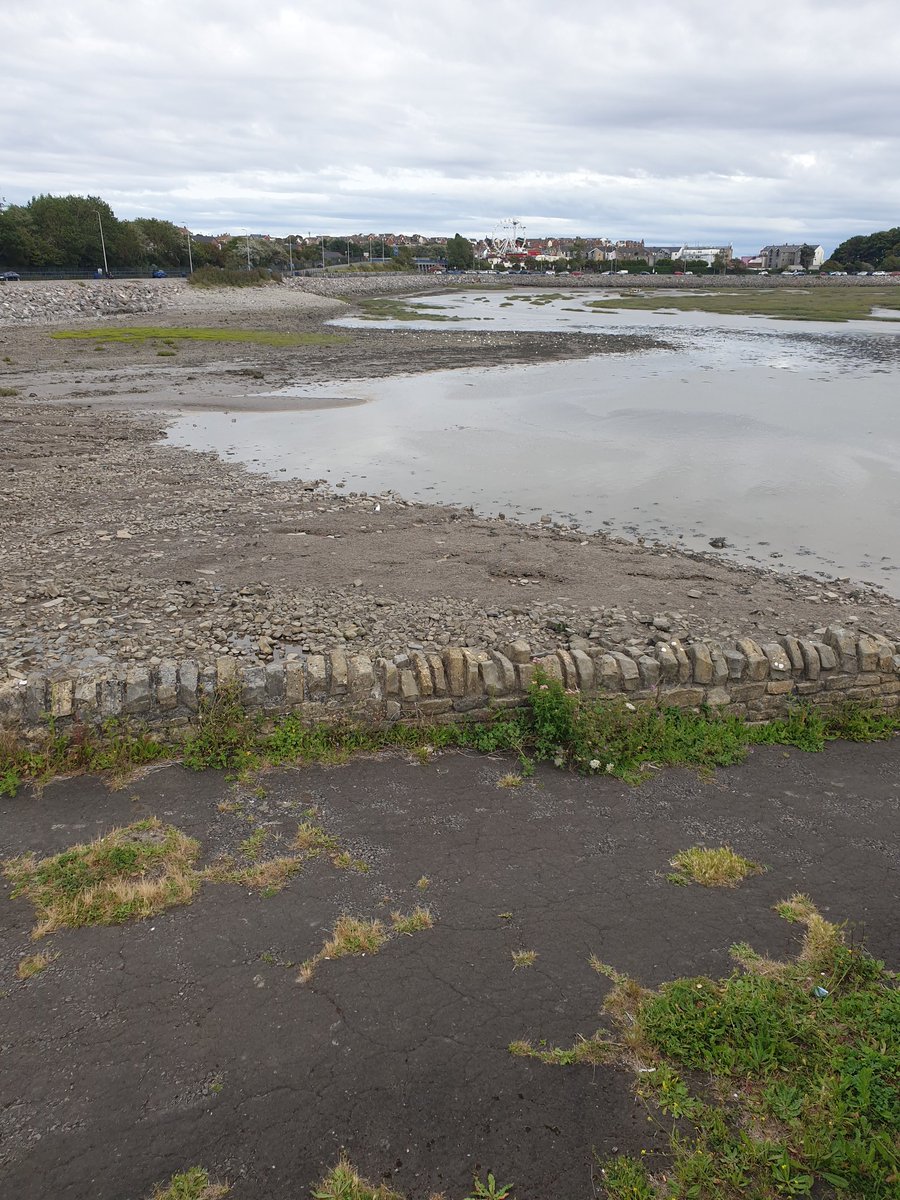🚨Callout🚨No 2.
At 17.07hrs today our team were paged to a lady stuck in the Mud at the Old Harbour, Barry. She had walked across from the Sand strip and didn't realise the mud was deep. As were arrived the lady was making her own way out onto the path.