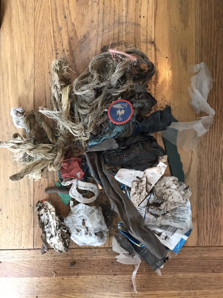 oliverhorsman's tweet photo. Good haul on our evening walk.#PlasticFree #plasticpollution https://t.co/a9OVgJShVt