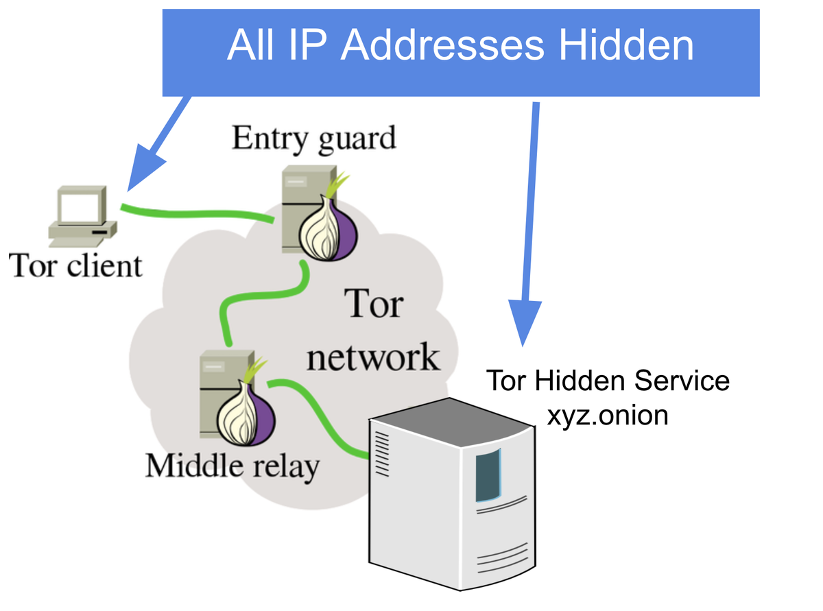 13/ The other way you can use Tor is to visit or run what's called a Hidden ServiceThese are websites that end in ".onion", and they hide the IP Address of the website ownerSites like these make up what people call the "Dark Web"