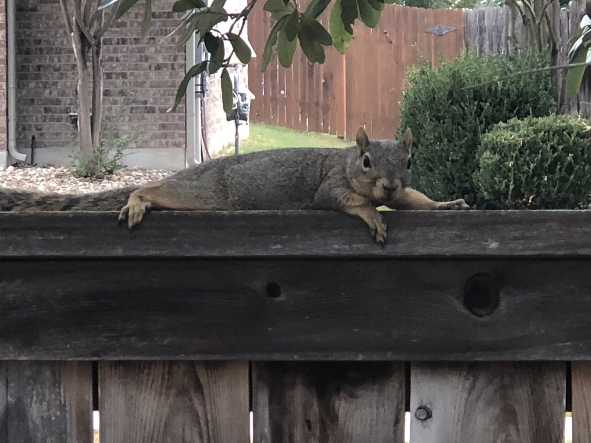 He’s sick of the Texas heat too.