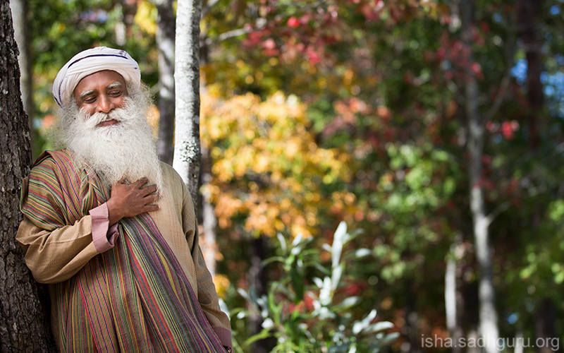 ishafoundation's tweet photo. If you are established in Yoga, it gives you a sense of union with everything around you that naturally brings Balance and Blissfulness. #SadhguruQuotes https://t.co/cHQhoNsCi6