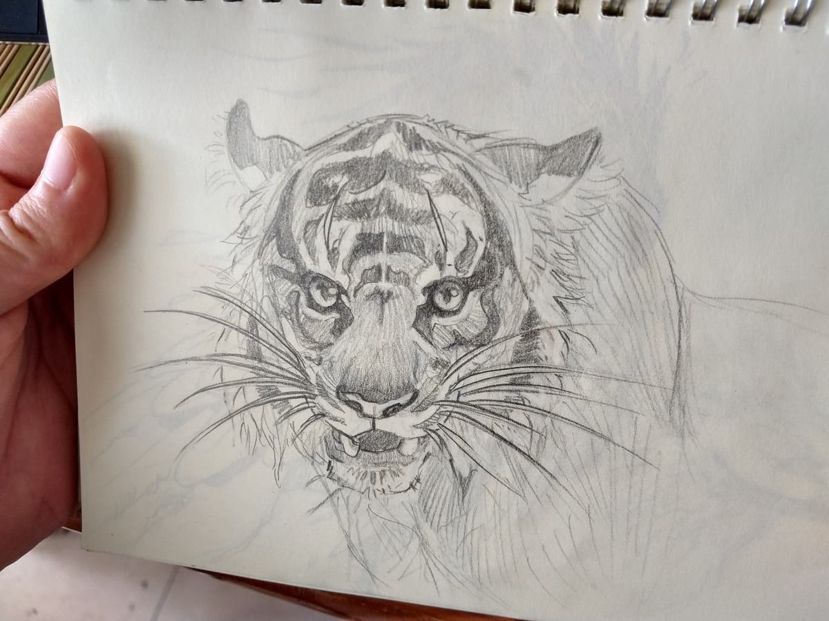 @TheWildlifeKid Quisiera ofrecer mis servicios como donación para la causa. >__>

Mi portafolio esta lleno de fantasía e ilustrativo porque es lo que me gusta dibujar, pero me meto de lleno a estudiar anatomía, comportamiento etc. (Que casi no posteo en twitter)
https://t.co/grjD7IMJnx 